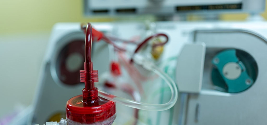 Nefrologa en Lindavista