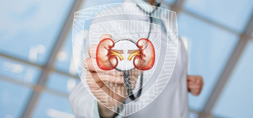 Nefrologa en tlalnepantla