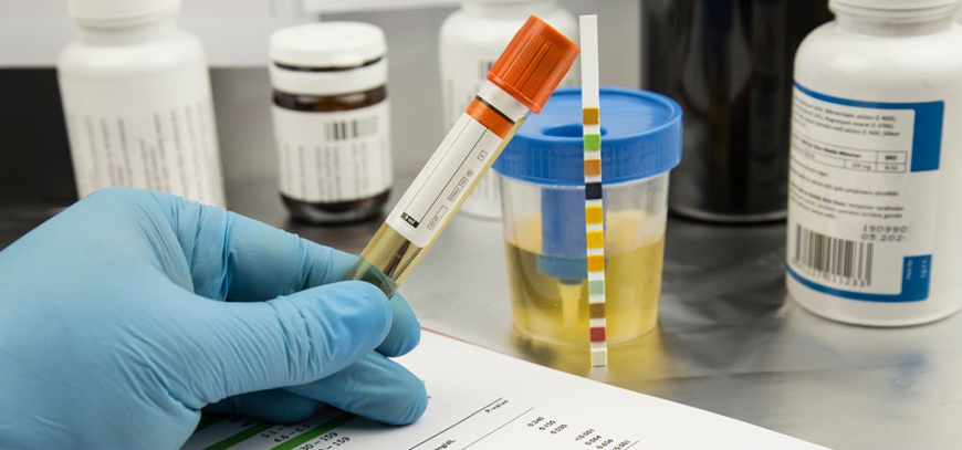 nefrologo especialista