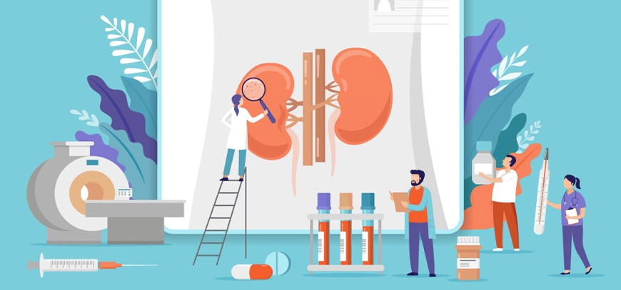 nefrologo internista